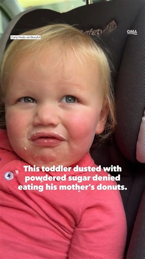 A toddler dusted with powdered sugar denied eating his mom's donuts when confronted by her. 😂 https://gma.abc/3s5yoNB | Good Morning America