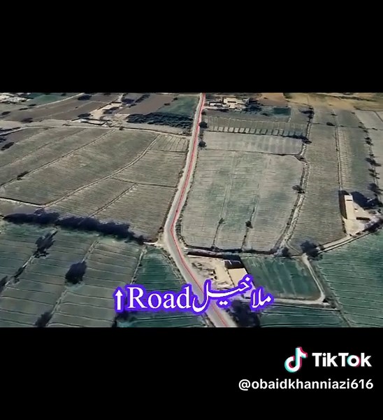 Mastering Autocad Techniques for Designers