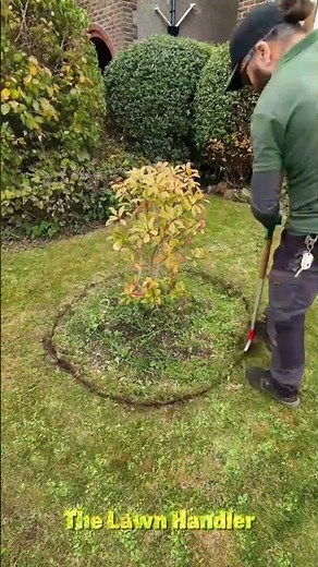 Grass Cutting | Pressure Washing | Cleaning #shorts #satisfying #gardening
