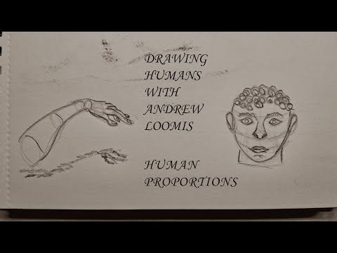Basic Human Proportions | HUMANS DRAWING DIARY №2