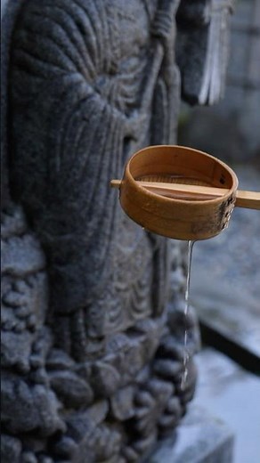 Off the beaten path in Kyoto: enjoy this bamboo grove in solitude ☺️ #japantraveltips