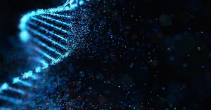 Standard for Forensic DNA Interpretation and Comparison Protocols