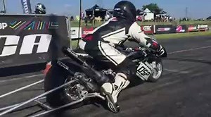 Version normal󾟭󾟭󾟭󾟭󾟭󾟭 | Dam-Sport