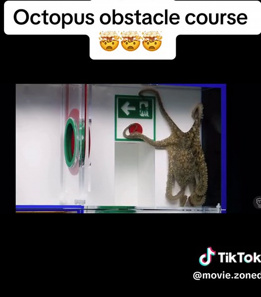 Part 7 on page#movieclips #movie #moviescene #movietok