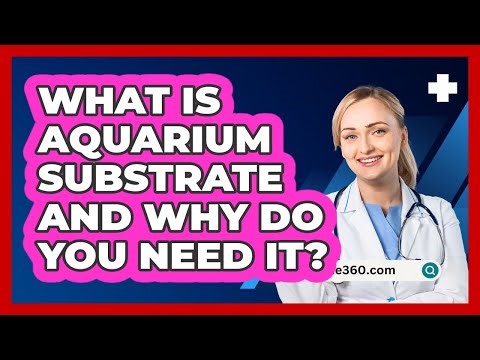 What Is Aquarium Substrate And Why Do You Need It? - PetGuide360.com