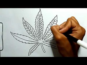 How to Draw Marijuana Leaf in Easy Steps