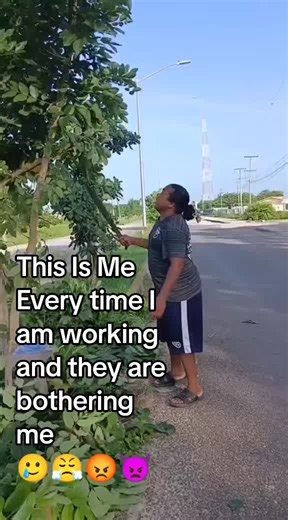 Dealing with Distractions While Working