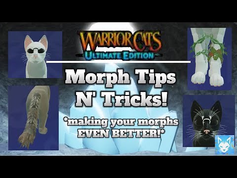 WCUE Morph Making: Hacks!