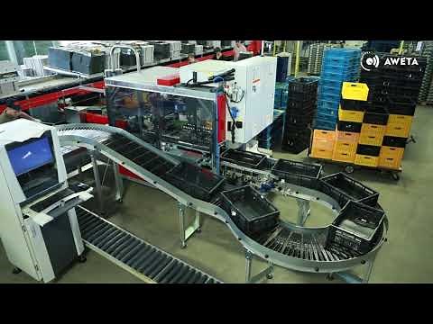 AWETA | Cucumber sorting & packing line at Zuidgeest