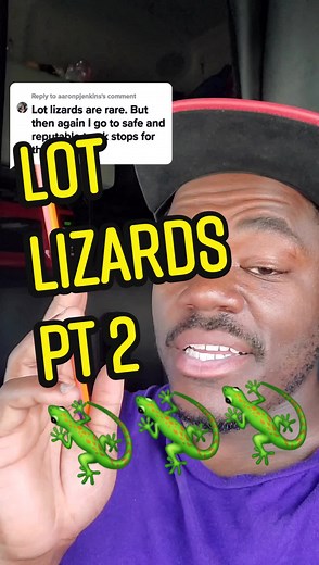 Trucker Safety: Avoiding 'Lot Lizards' at Rest Stops