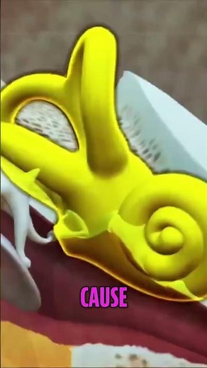 Sound Cannon: The Future of Crowd Control