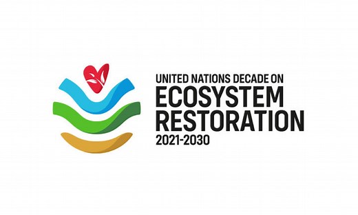 UN Decade on Ecosystem Restoration (2021-2030)