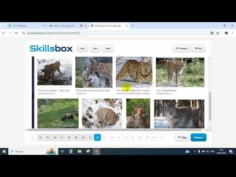 ICDL Teamwork suallarin izahi addim addim