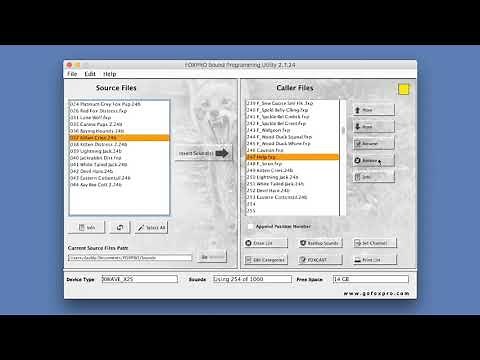 FOXPRO Programming Utility Video