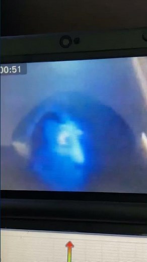 Finding Nemo Angler Fish in Reverse