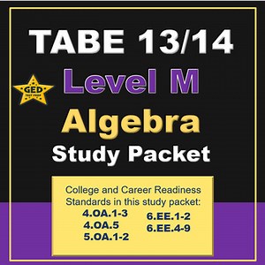 TABE 13/14 Level M Algebra
