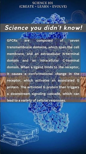 G Protein Coupled Receptors | simplified