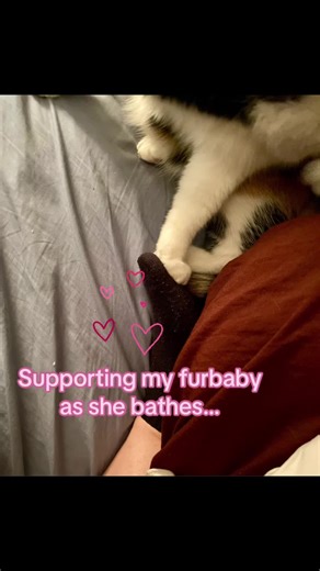 Deaf Diary (@deaf_diary)’s videos with Poems, Prayers and Promises - New Age Music Ensemble