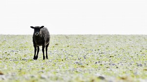 7 Ways To Boost Your Creativity