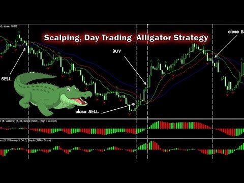 Scalping, Day Trading Alligator Strategy & Awesome Oscillator Strategy : Complete Guide For Traders