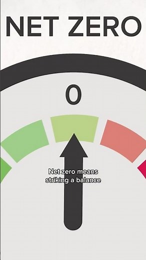 What is 'net zero'? 🏭 #netzero #climatechange #science
