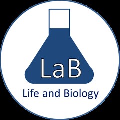 Phage Discovery Guide: Enriched Isolation Protocol