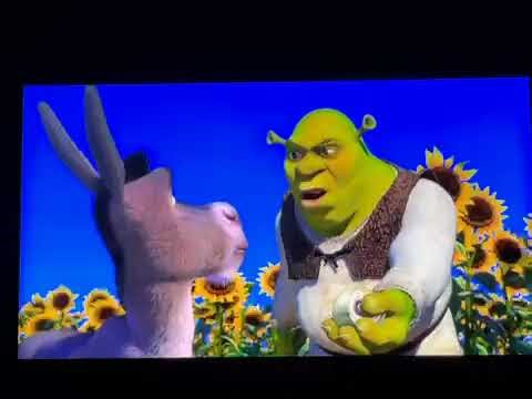 Shrek Ogres Are Like Onions Multilanguage
