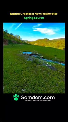 The Curious Core on Instagram: "This video shows the formation of a new freshwater spring as underground aquifers break through to the surface. The continuous flow demonstrates how groundwater systems naturally redistribute water through geological shifts."