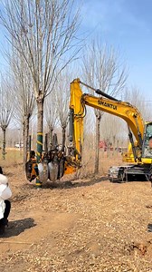 33K views · 564 reactions | This efficient tree digging machine makes relocating trees faster than ever.#TreeSpade #GreenTech #TreeRelocation #EcoSolutions #LandscapingInnovation | In Zhejiang | Facebook