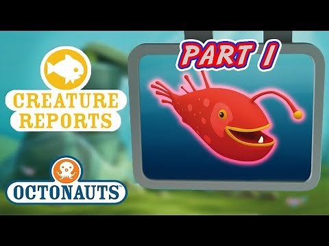 Octonauts - Creature Reports Part 1 | Cartoons for Kids | Underwater Sea Education