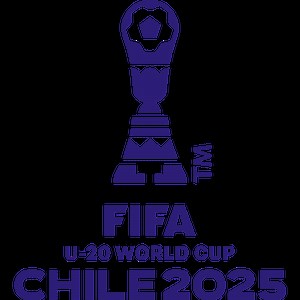 FIFA U-20 World Cup News, Scores, & Standings