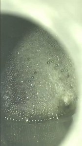 BHO / Butane Hash Oil / Making Weed Oil