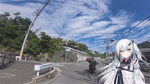 Insta360にナンバープレートぼかしが使えるようになったので使用してみた感想その2 Ace Pro