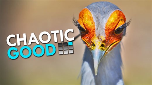 The Birds of Prey Alignment Chart