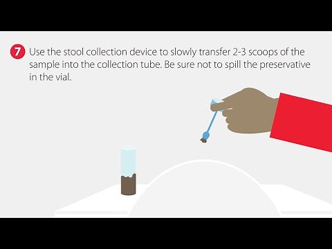 How to Collect a Fecal Sample | Step-by-Step Guide
