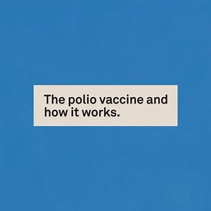 125K views · 1.7K reactions | Humans have successfully developed vaccines for a number of life-threatening diseases, including polio. Take a look at how vaccines work to end polio ⬇️ | World Health Organization (WHO) | Facebook