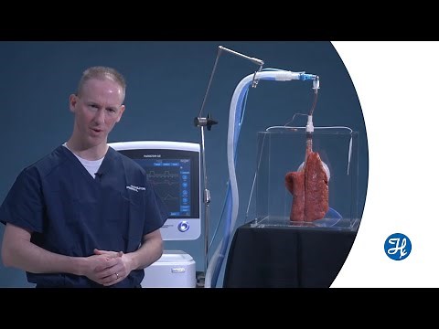 Accurately setting PEEP with transpulmonary pressure