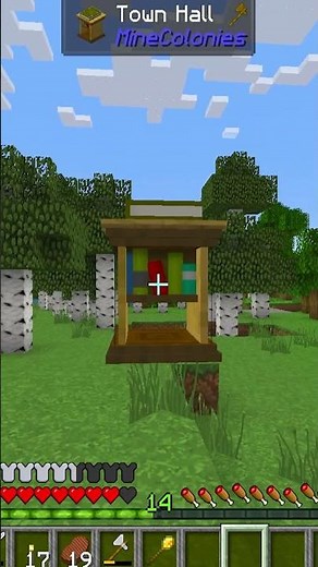 Minecraft Minecolonies Town Mod