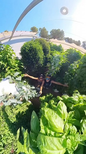 32M views · 534K reactions | Vertical farming with aeroponic towers...