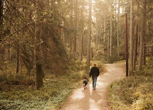 8 Types of Ticks on Dogs