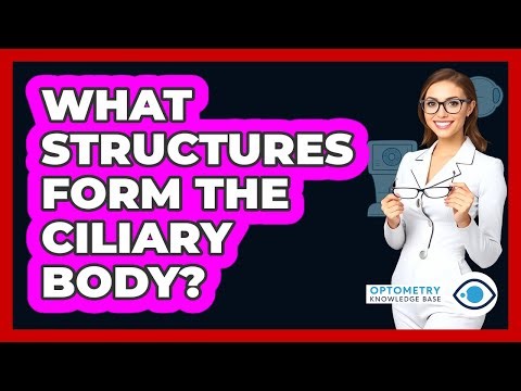 What Structures Form the Ciliary Body?