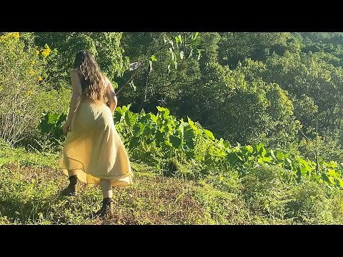 Alone and Off Grid: Building a Self Reliant Life in Nature