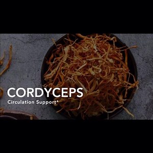 Mushrooms? Yes, mushrooms. Q Armor is the next staple of your self-care routine. Get back to the original superfood and start feeling your best. #qevolve2020 | Q SCIENCES