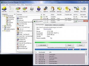 Internet Download Manager (IDM) Crack & patch || Internet Download Manager (IDM) free ||
