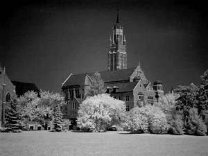Lesson 13: Infrared Photography Tips