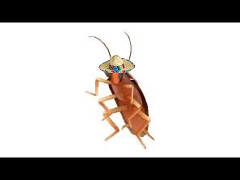 Cockroach vibes to La Chona for 1 Hour