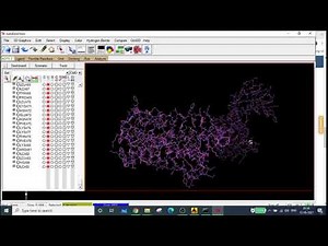 AutoDock Tutorial Part 3- Prepare Macro molecule/Protein for Docking