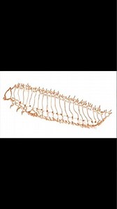 Nematodes Beat Small Hive Beetles!#shorts