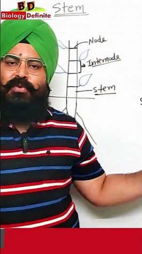 "Understanding the Morphology of Flowering Plants | Key Concepts Explained in Minutes!" #biology