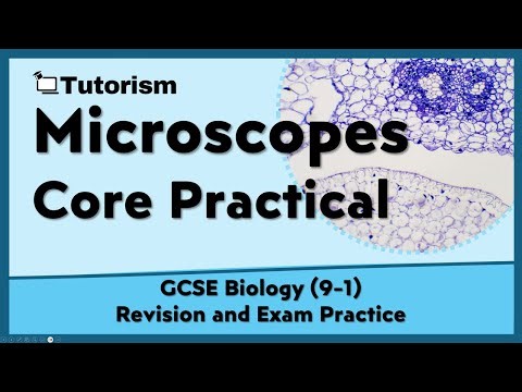 Microscopes Required Practical 🔬| GCSE Biology Exam Practice & Revision